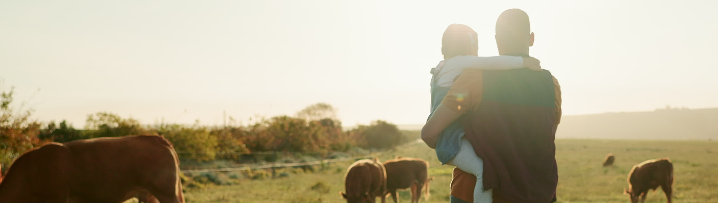 Father holding daughter in a paddock with cows